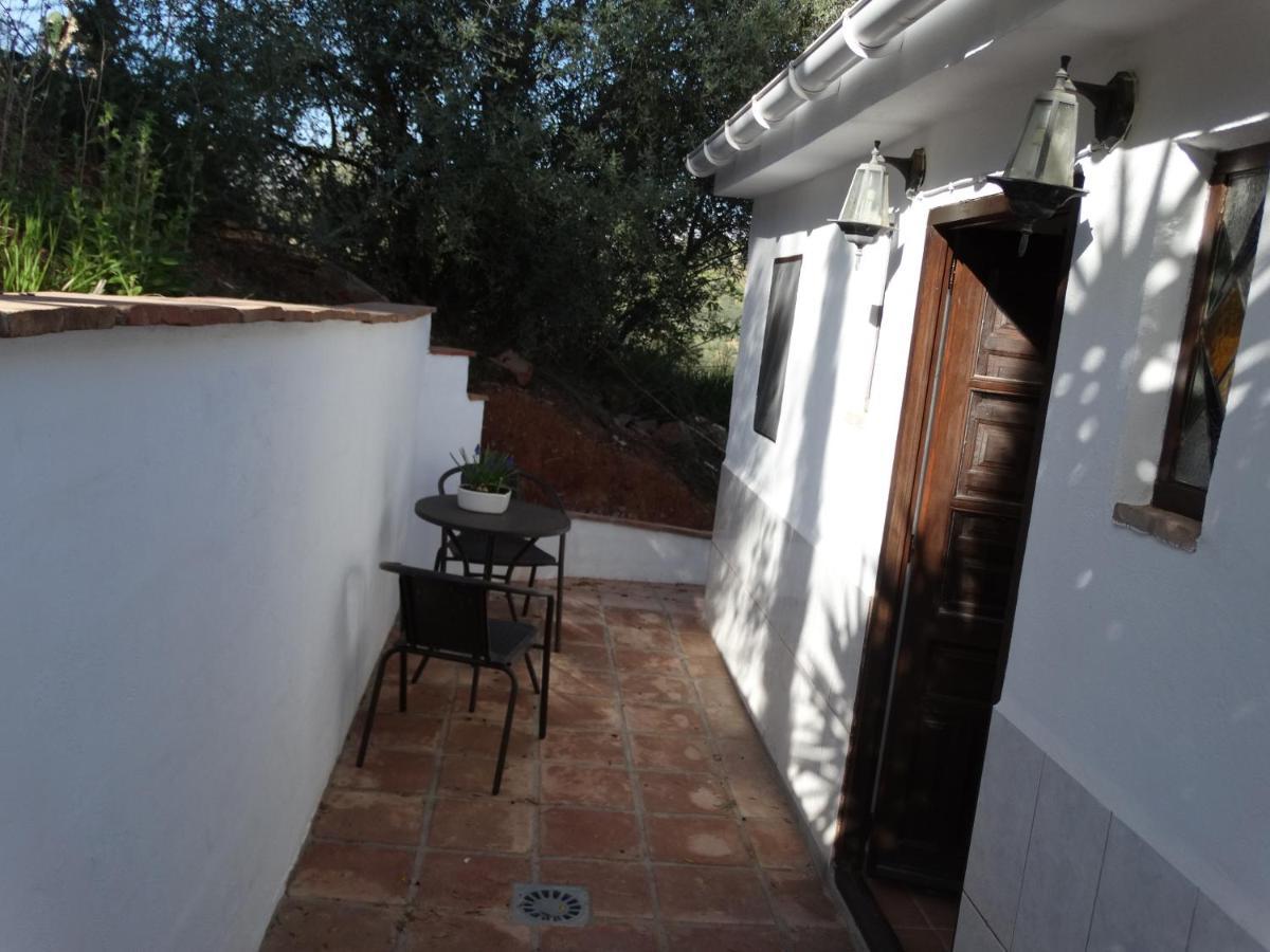 B&B Cortijo Loma Leon Cutar Εξωτερικό φωτογραφία