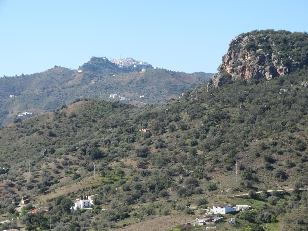 B&B Cortijo Loma Leon Cutar Εξωτερικό φωτογραφία