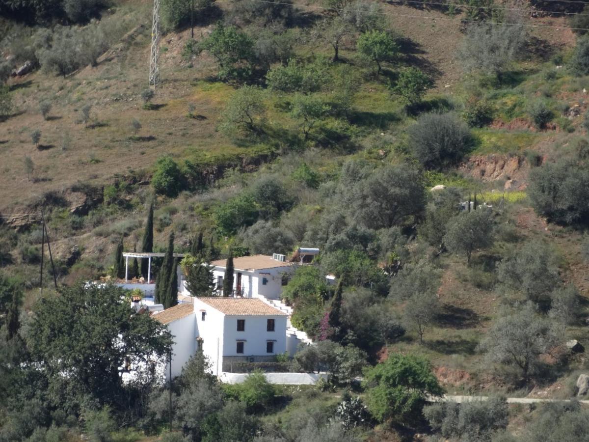 B&B Cortijo Loma Leon Cutar Εξωτερικό φωτογραφία