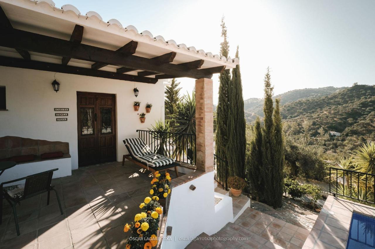B&B Cortijo Loma Leon Cutar Εξωτερικό φωτογραφία