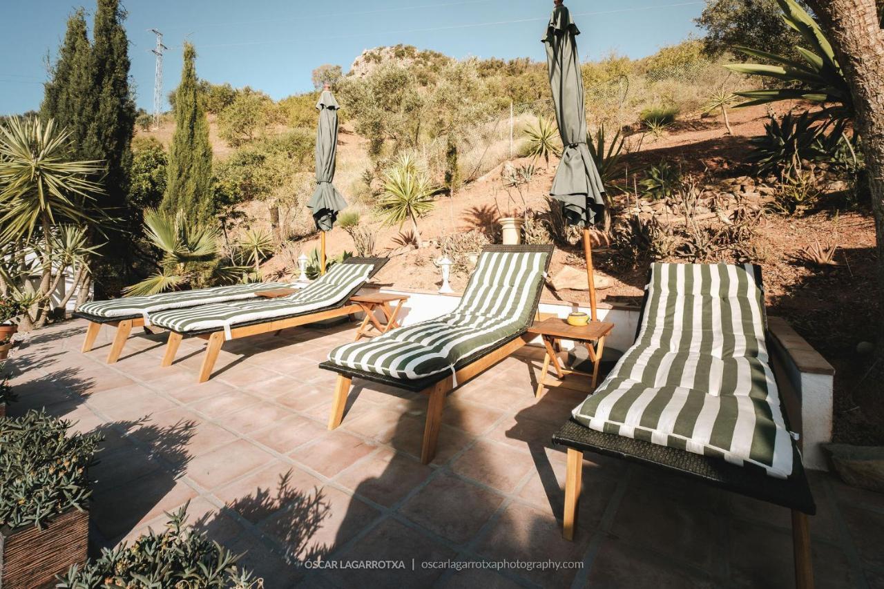 B&B Cortijo Loma Leon Cutar Εξωτερικό φωτογραφία